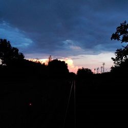 Silhouette of trees at sunset