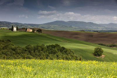 Scenic view of agricultural field against sky