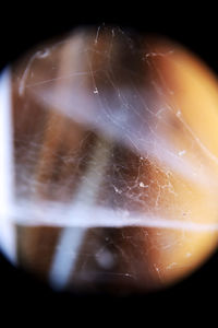 Close-up of spider web on black background