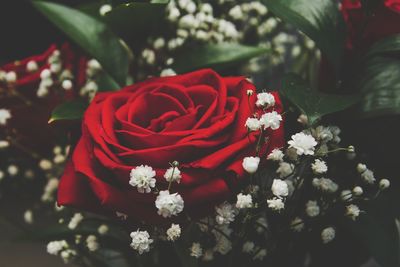Close-up of rose bouquet