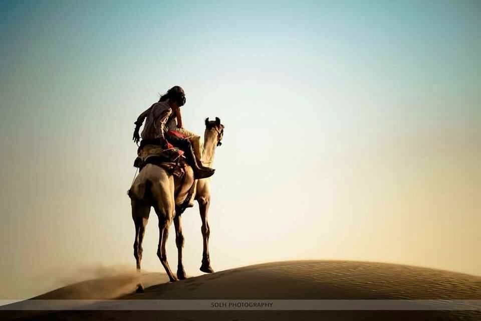 clear sky, horse, men, lifestyles, full length, copy space, leisure activity, working animal, riding, standing, desert, animal themes, togetherness, mammal, person, horseback riding, sand dune, rear view