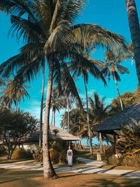 Mid distance view of woman standing by palm tree