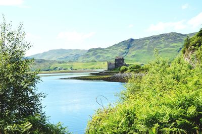 Scenic view of trees and buildings against sky