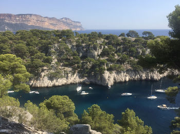 Scenic view of sea and trees against clear sky
