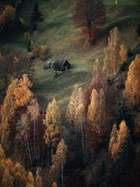 Rural autumn landscape in the carpathian mountains,romania,transylvania,romania.