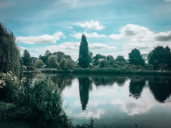 Reflection of trees in lake against cloudy sky