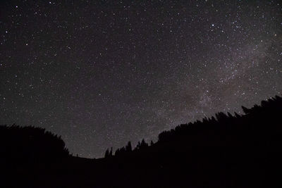 Low angle view of silhouette trees against sky at night