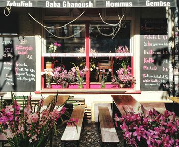 Colorful flowers in store