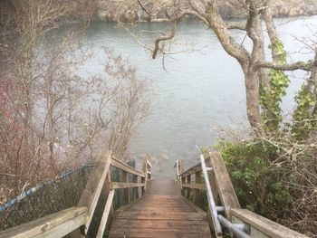 Footbridge amidst trees in forest