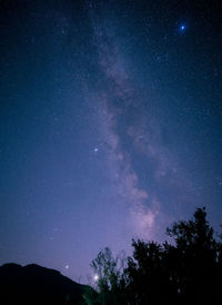 Low angle view of trees against sky at night