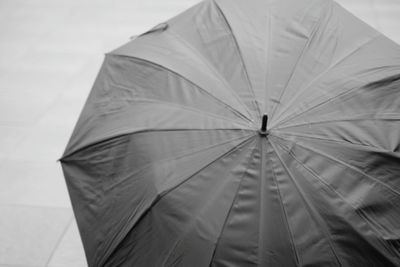 Close-up of umbrella