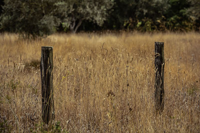 Wooden post on field