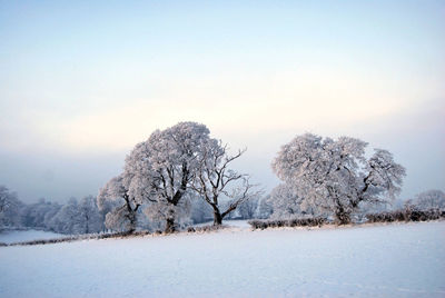 Scenic view of snow covered landscape