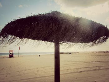 Palm trees on beach