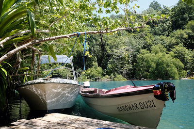 Boats moored in sea against trees