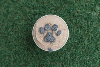 High angle view of ice cream cup on grass of dog foot shape