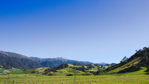 Scenic view of landscape against clear sky