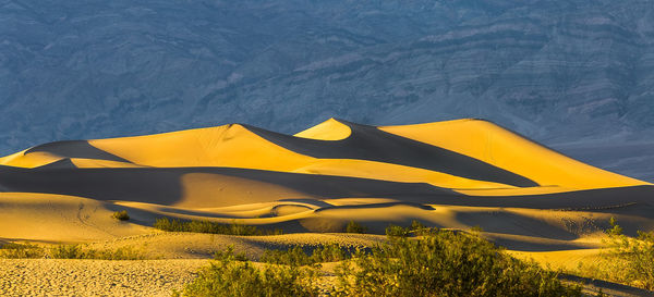 Yellow umbrella on sand dune in desert