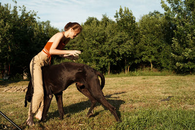 Side view of a horse on field