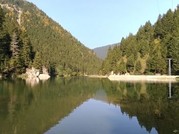 Scenic view of lake by trees against clear sky