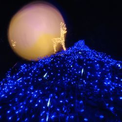 Close-up of illuminated christmas tree at night