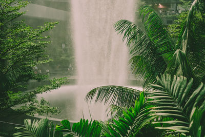 Scenic view of palm trees during rainy season