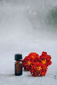 Close-up of flowers on table