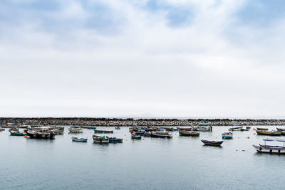 Boats moored in harbor against sky