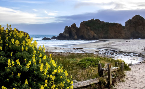 Scenic view of sea against sky