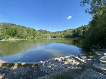 Scenic view of lake in forest against sky