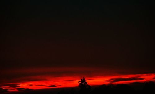 Silhouette trees against dramatic sky at sunset