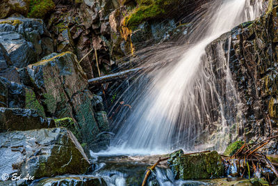 Low angle view of waterfall in forest