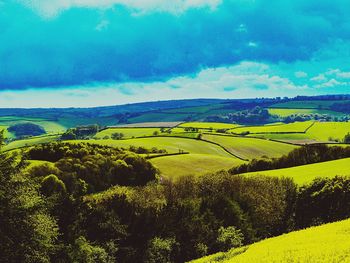 Scenic view of field against sky