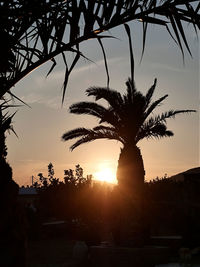 Silhouette palm trees against sky during sunset