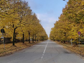 Road amidst trees against sky during autumn