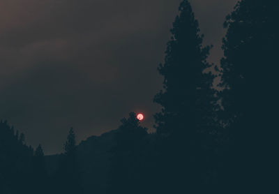 Low angle view of silhouette trees against sky at night