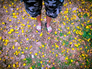 Low section of person standing on yellow leaves