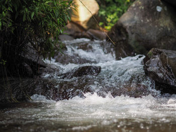 Surface level of water flowing over rocks in forest