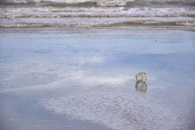 Plastic glass on the beach.