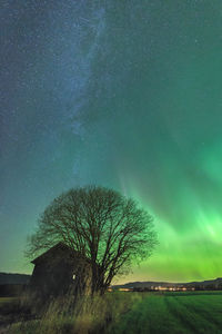 Trees on field against sky at night