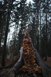 Low angle view of mushrooms growing on tree trunk