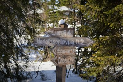 Information sign on tree trunk