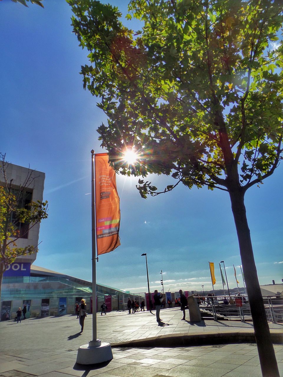 tree, sun, sunbeam, sunlight, lens flare, flag, blue, summer, day, outdoors, outdoor pursuit