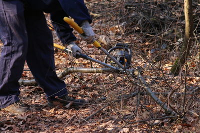 Low section of man cutting tree in forest