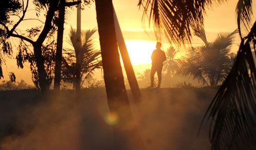 Silhouette man and palm trees against sky during sunset