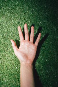 Cropped image of hand on grass