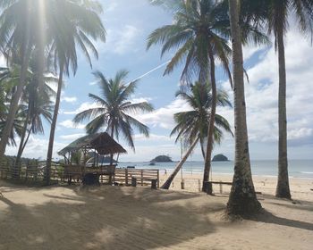 Palm trees on beach against sky