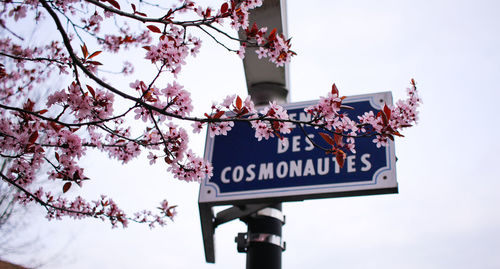 Low angle view of text on tree against sky