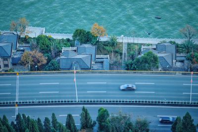 High angle view of trees by swimming pool in city