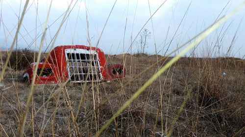 View of rural landscape